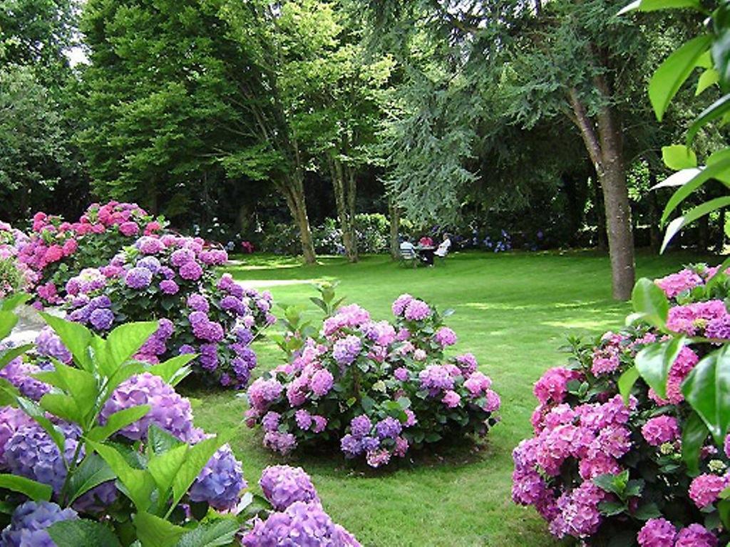 Villa Les Hortensias Pont-Croix Dış mekan fotoğraf